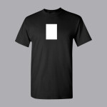 A6 Custom Transfer